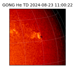 gong - 2024-08-23T11:00:22