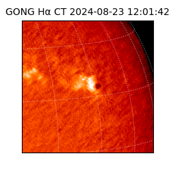 gong - 2024-08-23T12:01:42