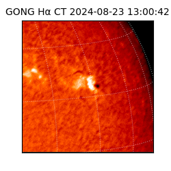 gong - 2024-08-23T13:00:42