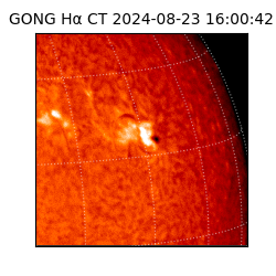 gong - 2024-08-23T16:00:42