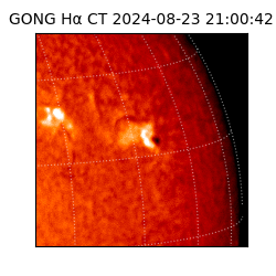 gong - 2024-08-23T21:00:42