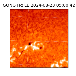 gong - 2024-08-23T05:00:42