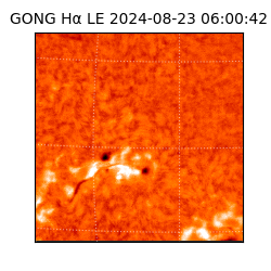 gong - 2024-08-23T06:00:42