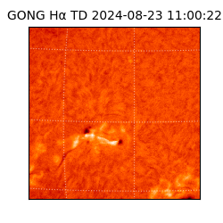 gong - 2024-08-23T11:00:22