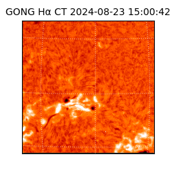 gong - 2024-08-23T15:00:42