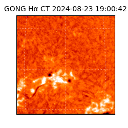 gong - 2024-08-23T19:00:42