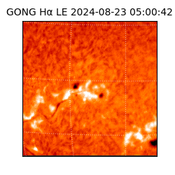 gong - 2024-08-23T05:00:42