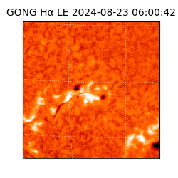 gong - 2024-08-23T06:00:42