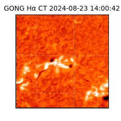 gong - 2024-08-23T14:00:42