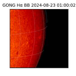 gong - 2024-08-23T01:00:02