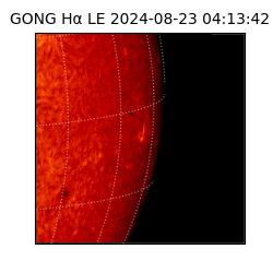 gong - 2024-08-23T04:13:42