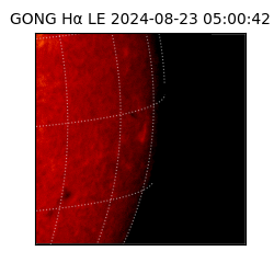 gong - 2024-08-23T05:00:42