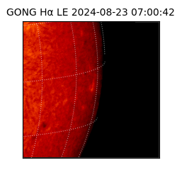 gong - 2024-08-23T07:00:42