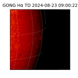 gong - 2024-08-23T09:00:22