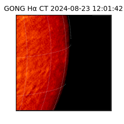 gong - 2024-08-23T12:01:42