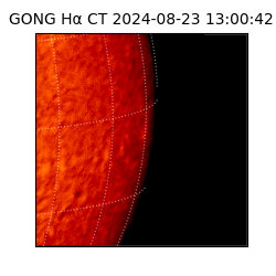 gong - 2024-08-23T13:00:42