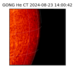 gong - 2024-08-23T14:00:42