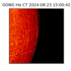 gong - 2024-08-23T15:00:42
