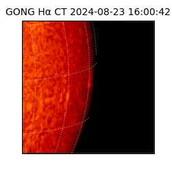 gong - 2024-08-23T16:00:42