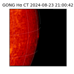 gong - 2024-08-23T21:00:42