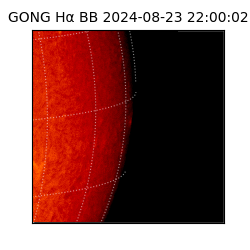 gong - 2024-08-23T22:00:02