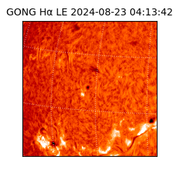 gong - 2024-08-23T04:13:42