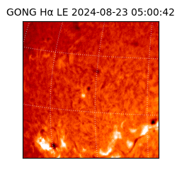 gong - 2024-08-23T05:00:42