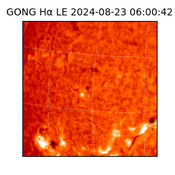 gong - 2024-08-23T06:00:42