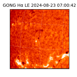 gong - 2024-08-23T07:00:42