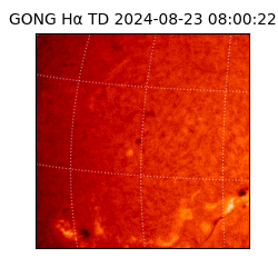 gong - 2024-08-23T08:00:22