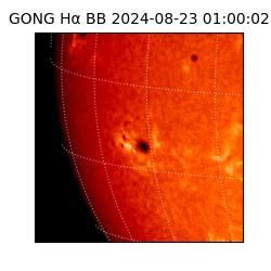 gong - 2024-08-23T01:00:02