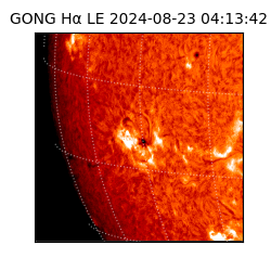 gong - 2024-08-23T04:13:42