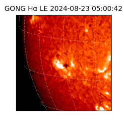 gong - 2024-08-23T05:00:42