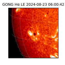 gong - 2024-08-23T06:00:42