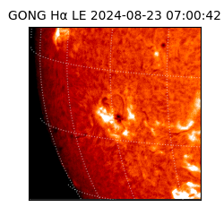 gong - 2024-08-23T07:00:42