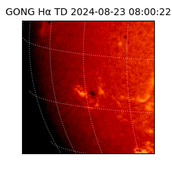 gong - 2024-08-23T08:00:22