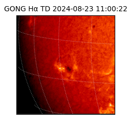 gong - 2024-08-23T11:00:22