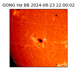 gong - 2024-08-23T22:00:02