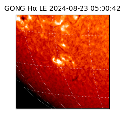 gong - 2024-08-23T05:00:42