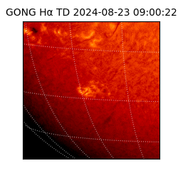 gong - 2024-08-23T09:00:22