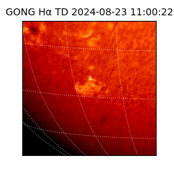 gong - 2024-08-23T11:00:22