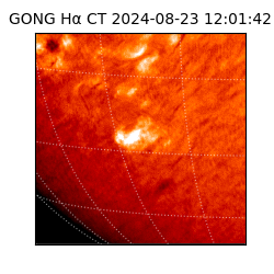 gong - 2024-08-23T12:01:42