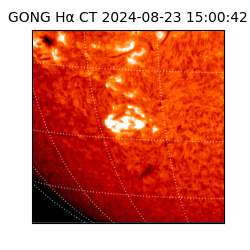 gong - 2024-08-23T15:00:42