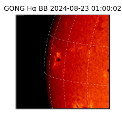 gong - 2024-08-23T01:00:02