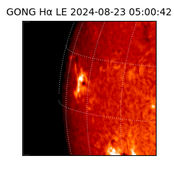 gong - 2024-08-23T05:00:42