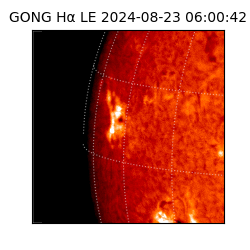 gong - 2024-08-23T06:00:42