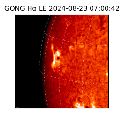 gong - 2024-08-23T07:00:42