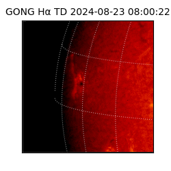 gong - 2024-08-23T08:00:22