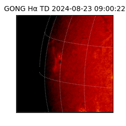 gong - 2024-08-23T09:00:22