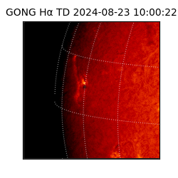 gong - 2024-08-23T10:00:22